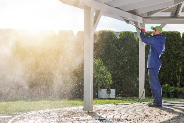 Pre-Holiday Cleaning in Lake Forest Park, WA